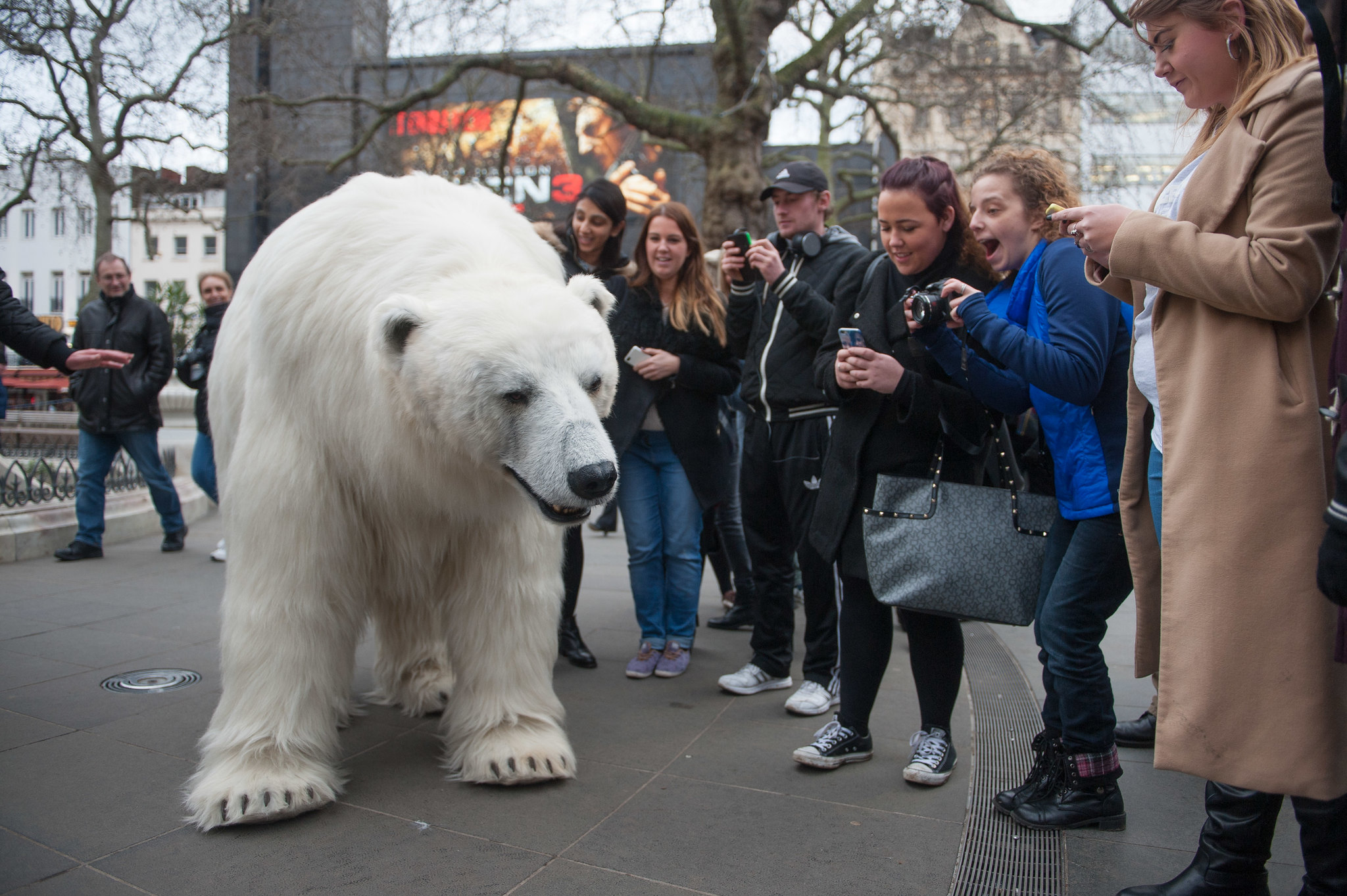 Sky Atlantic: Polar Bear Hits The Streets | St Mark's Studios